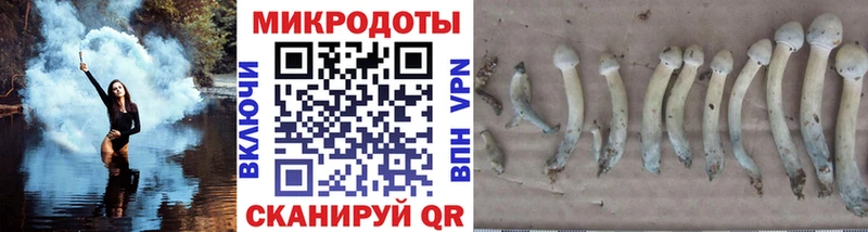 Псилоцибиновые грибы Magic Shrooms Прохладный